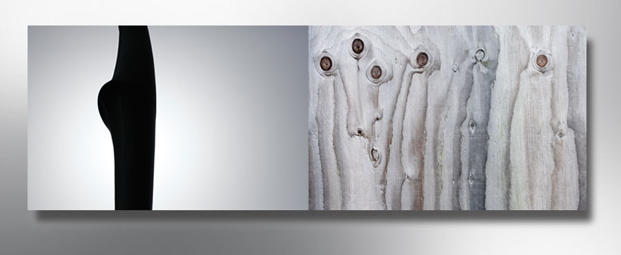 John Casado Fine Art - portfolio image